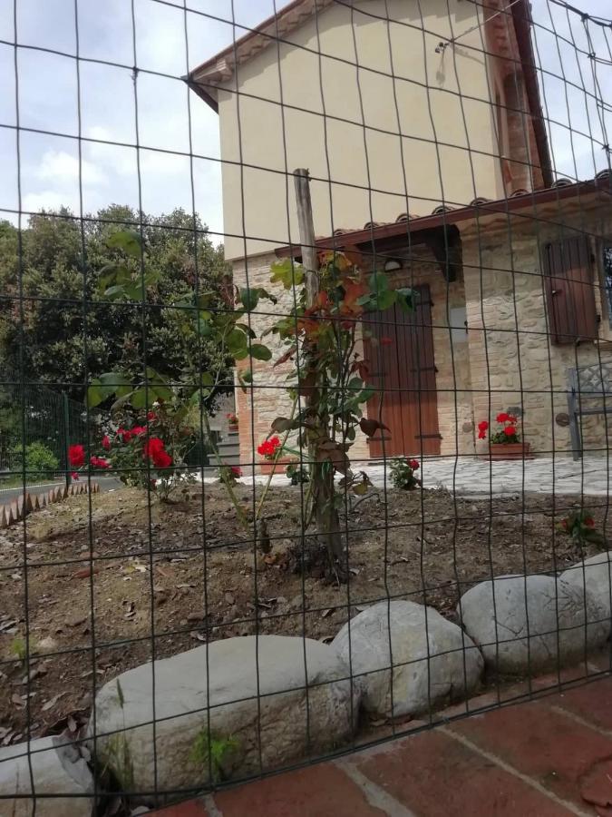 La Casetta Della Letizia Colle  Exterior foto